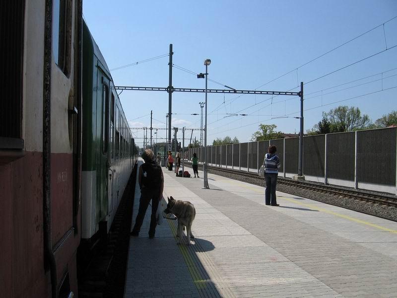 photo120.jpg - Planá nad Lužnicí - 2. nástupiště, cestující čekající na rychlík do Prahy